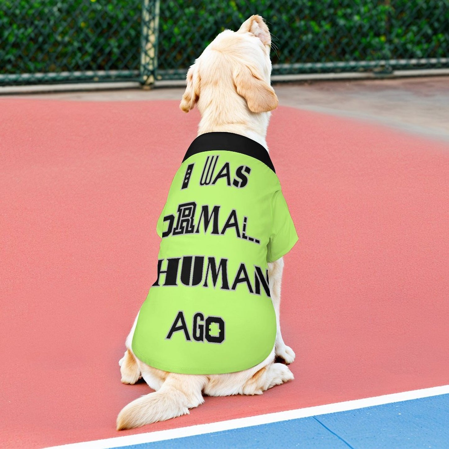 I was normal Pet Shirt